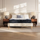 Ashley Express - Dreamcloud Classic Memory Foam Queen Mattress