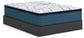 Ashley Express - Limited Edition Plush Pt 3.0  Mattress