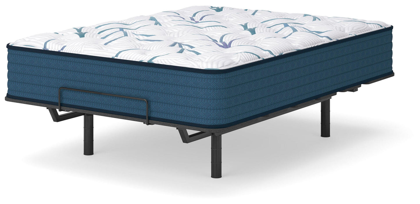 Ashley Express - Limited Edition Plush 3.0  Mattress